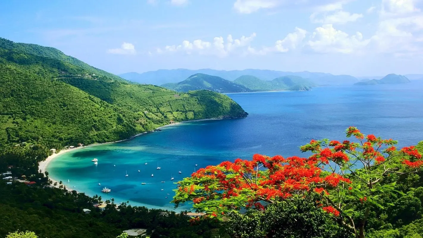 高精度高效智能